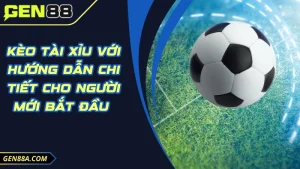Kèo Tài Xỉu Với Hướng Dẫn Chi Tiết Cho Người Mới Bắt Đầu